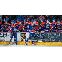 Bakersfield Condors Bench Celebrates a Goal