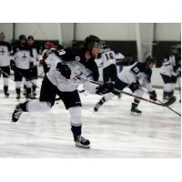 Stephen Kelly of the Wilkes-Barre/Scranton Knights