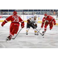 Chicago Wolves F Evan Trupp vs. the Charlotte Checkers