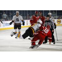 Chicago Wolves Fight with the Charlotte Checkers
