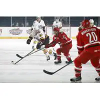 Chicago Wolves RW Jacob Doty vs. the Charlotte Checkers