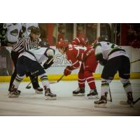 Bloomington Thunder Faces off with the Dubuque Fighting Saints