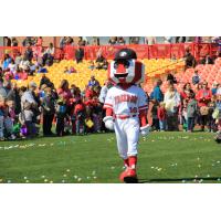 Florence Freedom Mascot, Y'All-Star