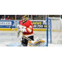 Atlanta Gladiators Goaltender Matt Ginn