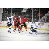 Manchester Monarchs Goaltender Doug Carr Stonewalls the Adirondack Thunder