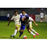 Louisville City FC Battles through the Charlotte Independence