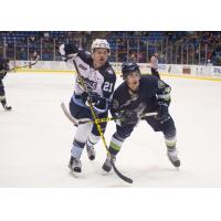 Bloomington Thunder vs. the Madison Capitols
