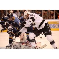 Manchester Monarchs vs. the Toledo Walleye