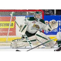 Everett Silvertips Goaltender Mario Petit
