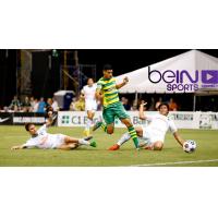 Tampa Bay Rowdies vs. the New York Cosmos