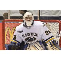 Sioux Falls Stampede Goaltender Charlie Lindgren