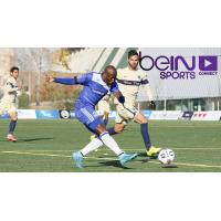 FC Edmonton in Action