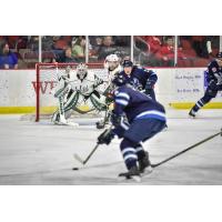 Iowa Wild Await a Shot vs. the Manitoba Moose