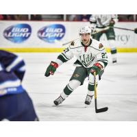 Iowa Wild F Alex Petan vs. the Manitoba Moose