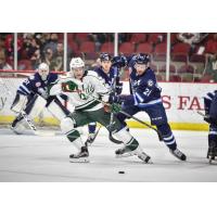 Iowa Wild Jockey for the Puck vs. the Manitoba Moose