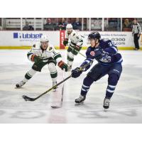 Iowa Wild D Christian Folin vs. the Manitoba Moose