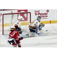 Chicago Wolves G Jordan Binnington Stops the Puck vs. the Rockford IceHogs