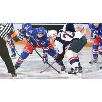 Kitchener Rangers Face off with the Windsor Spitfires