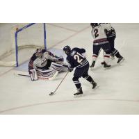 Kalamazoo Wings Goaltender Joel Martin vs. the Greenville Swamp Rabbits