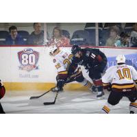 Chicago Wolves D Travis Walsh vs. the Lake Erie Monsters