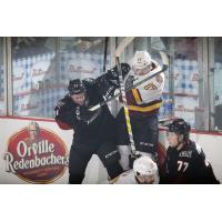 Chicago Wolves D Richard Nedomlel up against the Glass vs. the Lake Erie Monsters