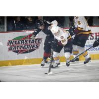 Chicago Wolves C Ivan Barbashev vs. the Lake Erie Monsters