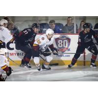 Chicago Wolves D Travis Walsh vs. the Lake Erie Monsters