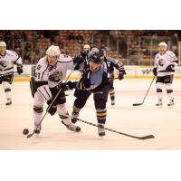 Manchester Monarchs Battle the Toledo Walleye