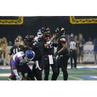 Orlando Predators QB Randy Hippeard