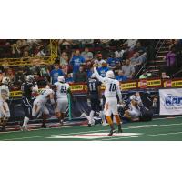 Arizona Rattlers Quarterback Nick Davila Celebrates a Touchdown vs. the Portland Steel