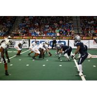 Arizona Rattlers vs. the Portland Steel