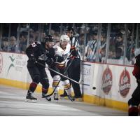 Chicago Wolves RW Danny Kristo Battles the Lake Erie Monsters