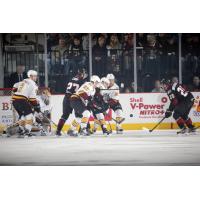 Chicago Wolves Battle the Lake Erie Monsters