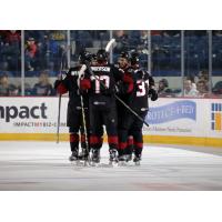 Lake Erie Monsters Celebrate a Goal vs. the Chicago Wolves