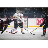 Chicago Wolves C Jeremy Welsh vs. the Lake Erie Monsters