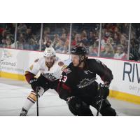 Chicago Wolves F Justin Selman Closes in on the Lake Erie Monsters