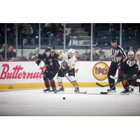 Chicago Wolves D Travis Walsh vs. the Lake Erie Monsters