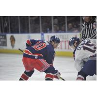 Kalamazoo Wings vs. the Greenville Swamp Rabbits