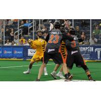Randy Staats of the Georgia Swarm vs. the Buffalo Bandits