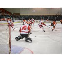 Port Huron Prowlers vs. the Danville Dashers