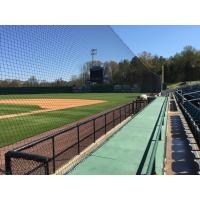 New Protective Netting on First Base Side of The Ballpark at Jackson