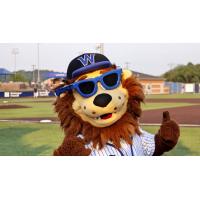 Wild Thing, the Mascot of the Washington Wild Things