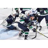 Florida Everblades Battle the Orlando Solar Bears