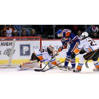 Bakersfield Condors Shoot on the San Diego Gulls
