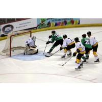 Luke Sandler of the Louisiana IceGators Scores vs. the Mississippi RiverKings