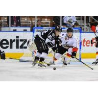 Manchester Monarchs vs. the Adirondack Thunder
