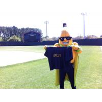 Savannah Bananas Mascot Split at the Field