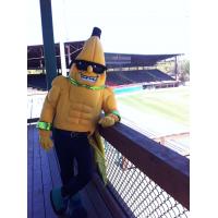 Savannah Bananas Mascot Split Lounging Around