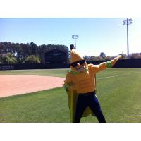 Savannah Bananas Mascot Split Shows his Moves