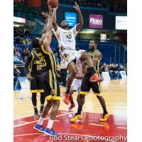 Saint John Mill Rats Go up for a Shot vs. the London Lightning